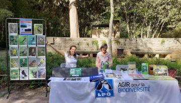 Stand de sensibilisation ©LPO Occitanie